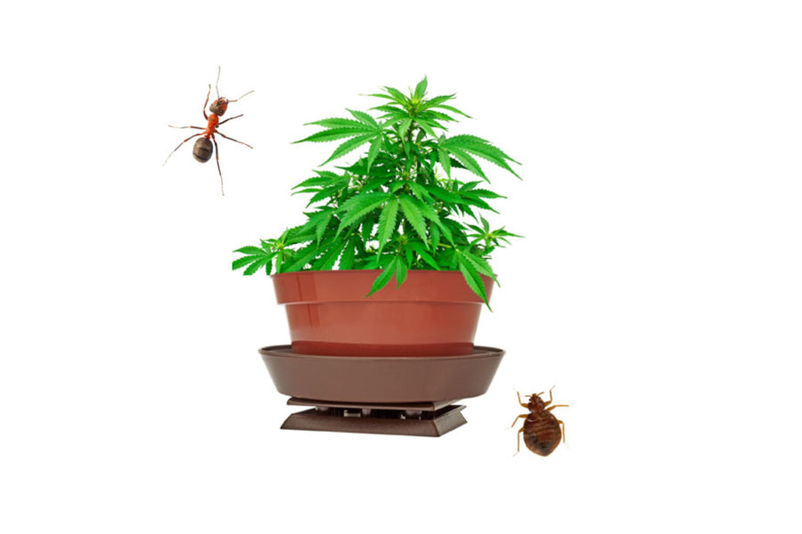 1st Defence 4" Round Bait Tray (1 No)